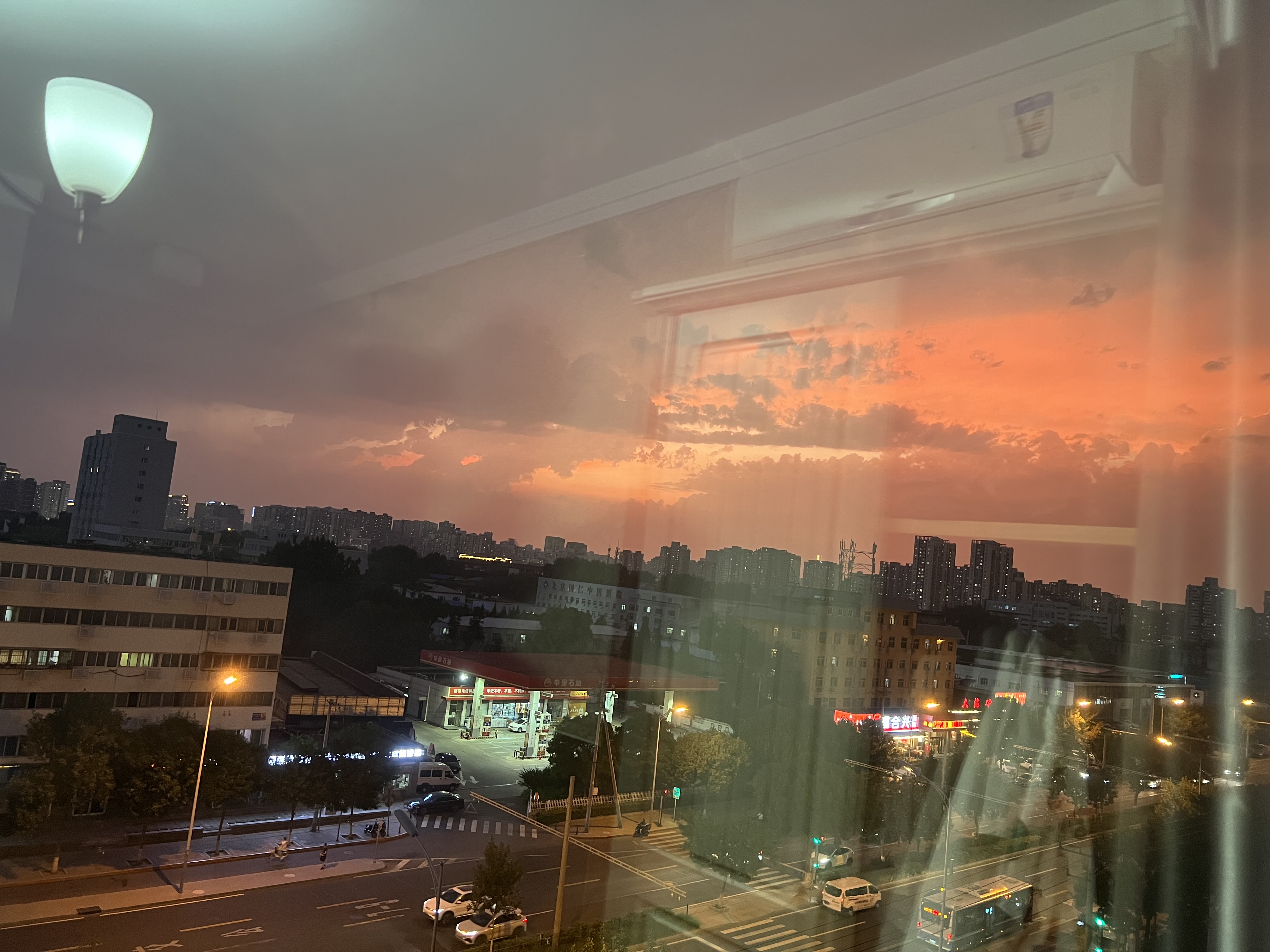 IMG_7728.jpeg
