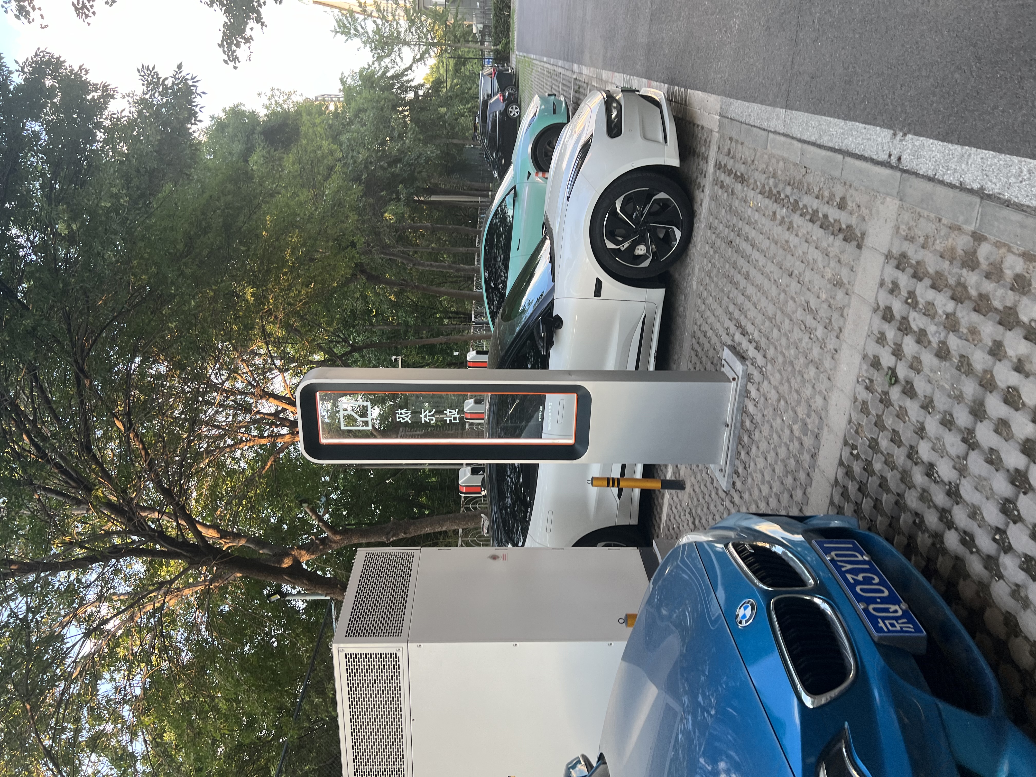 IMG_7731.jpeg