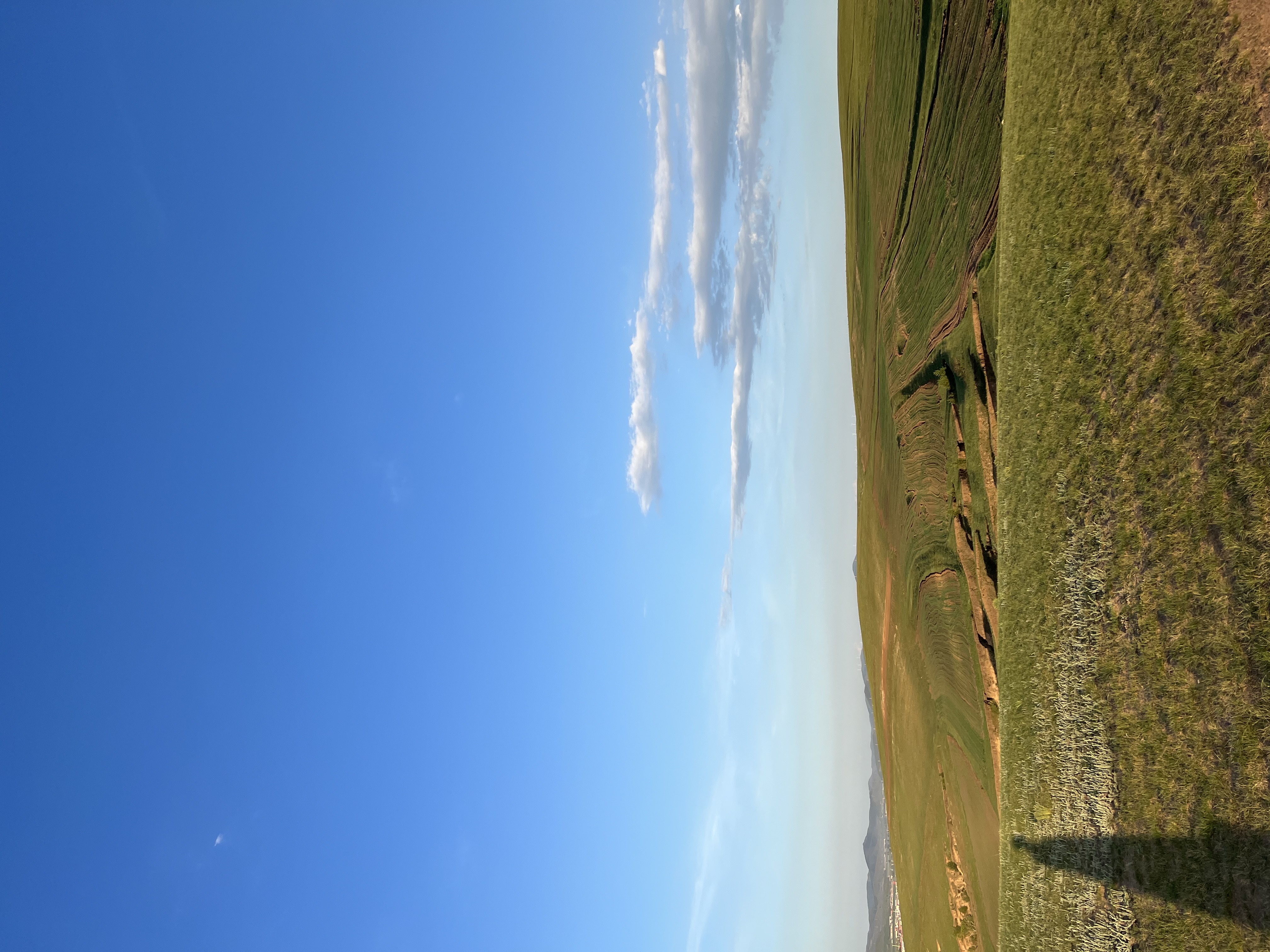 IMG_7801.jpeg