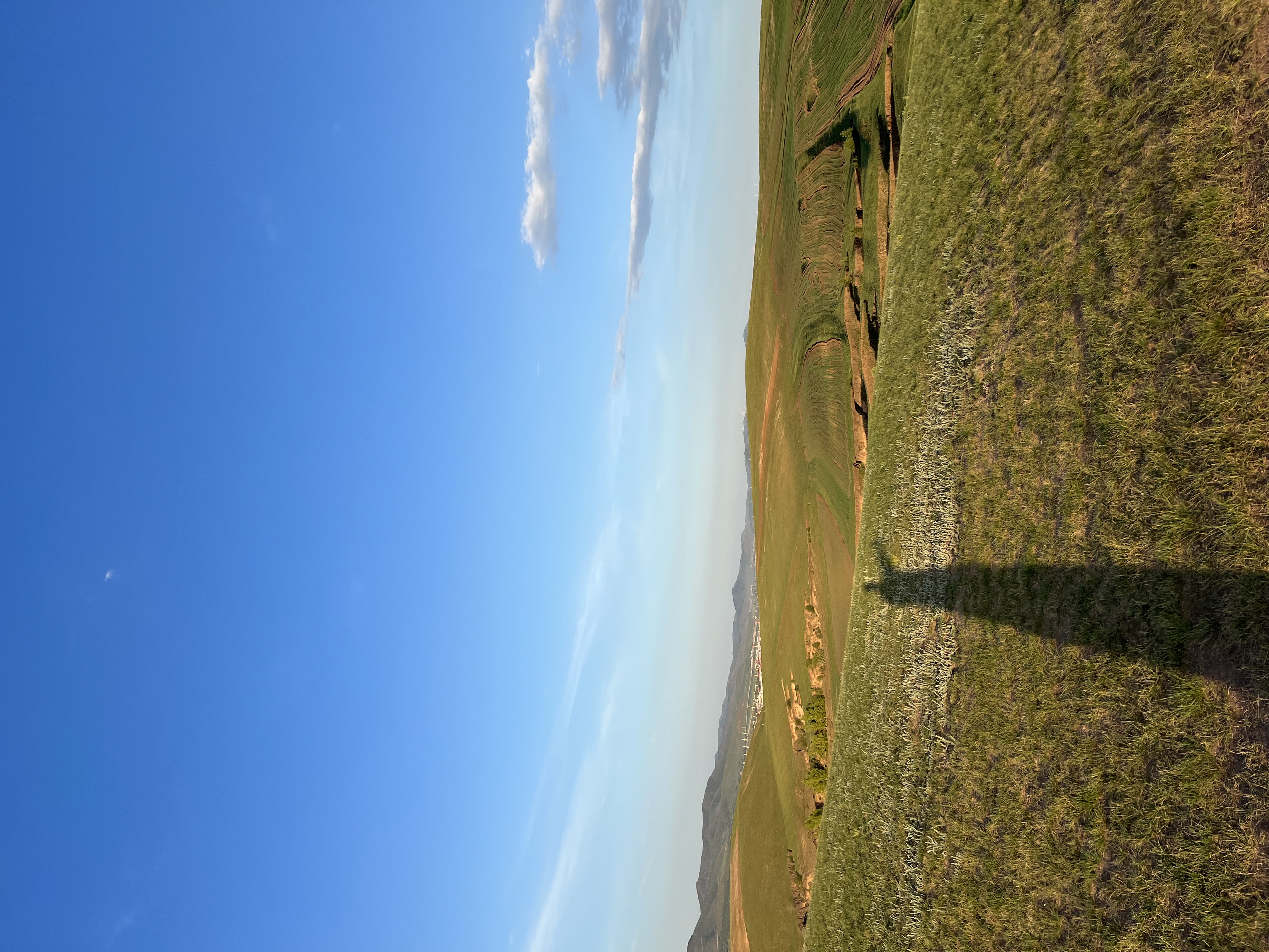IMG_7802.jpeg