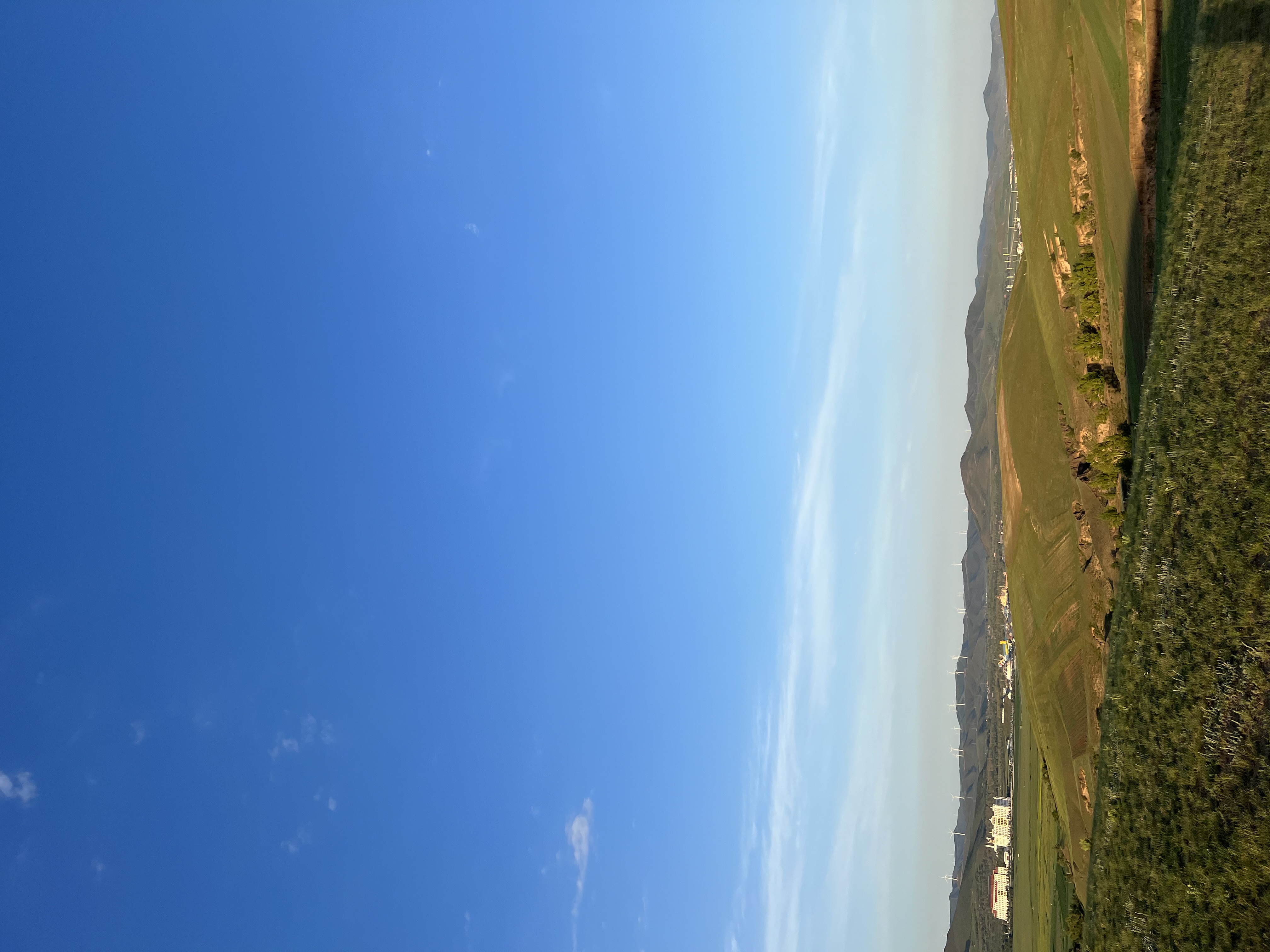 IMG_7804.jpeg