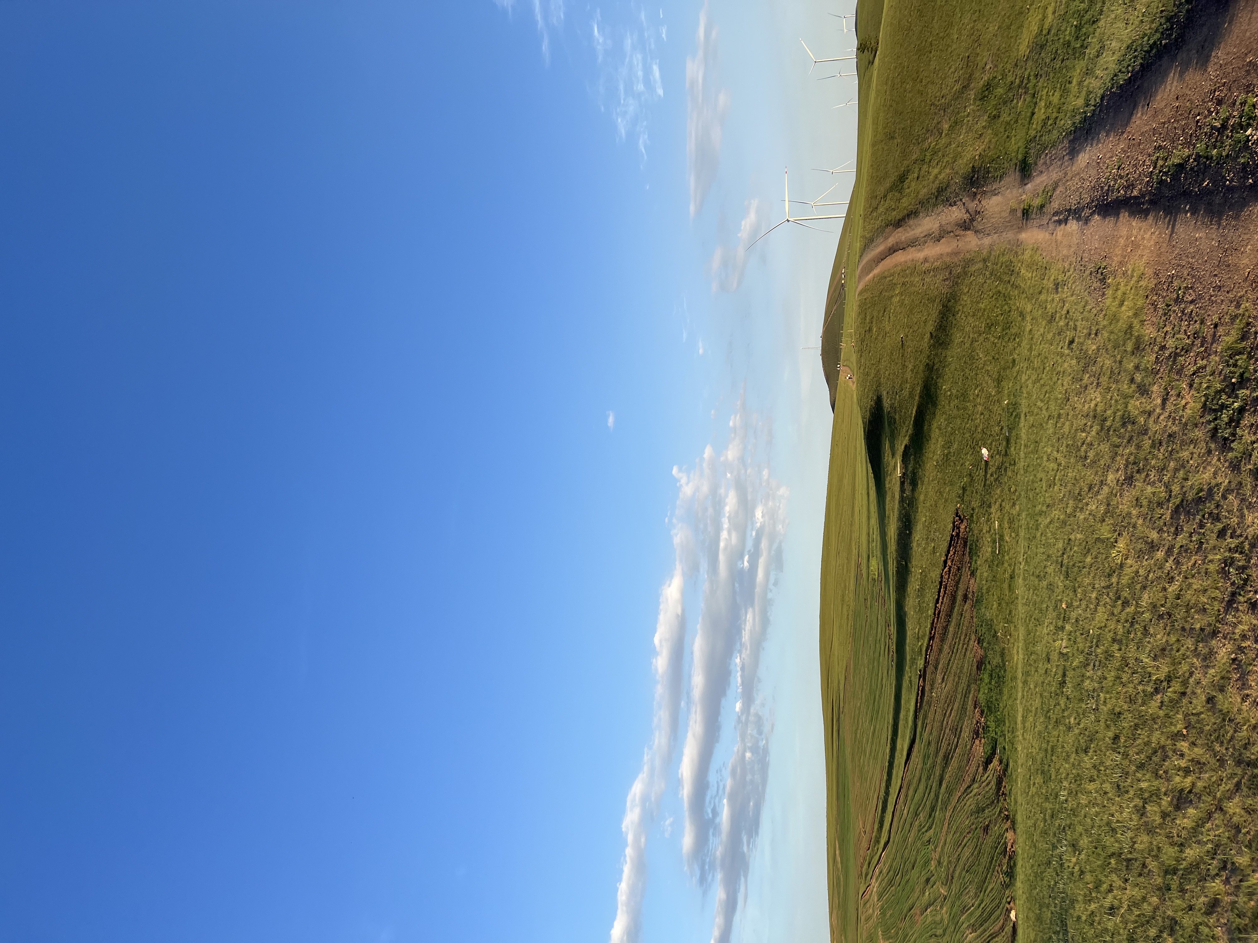 IMG_7806.jpeg