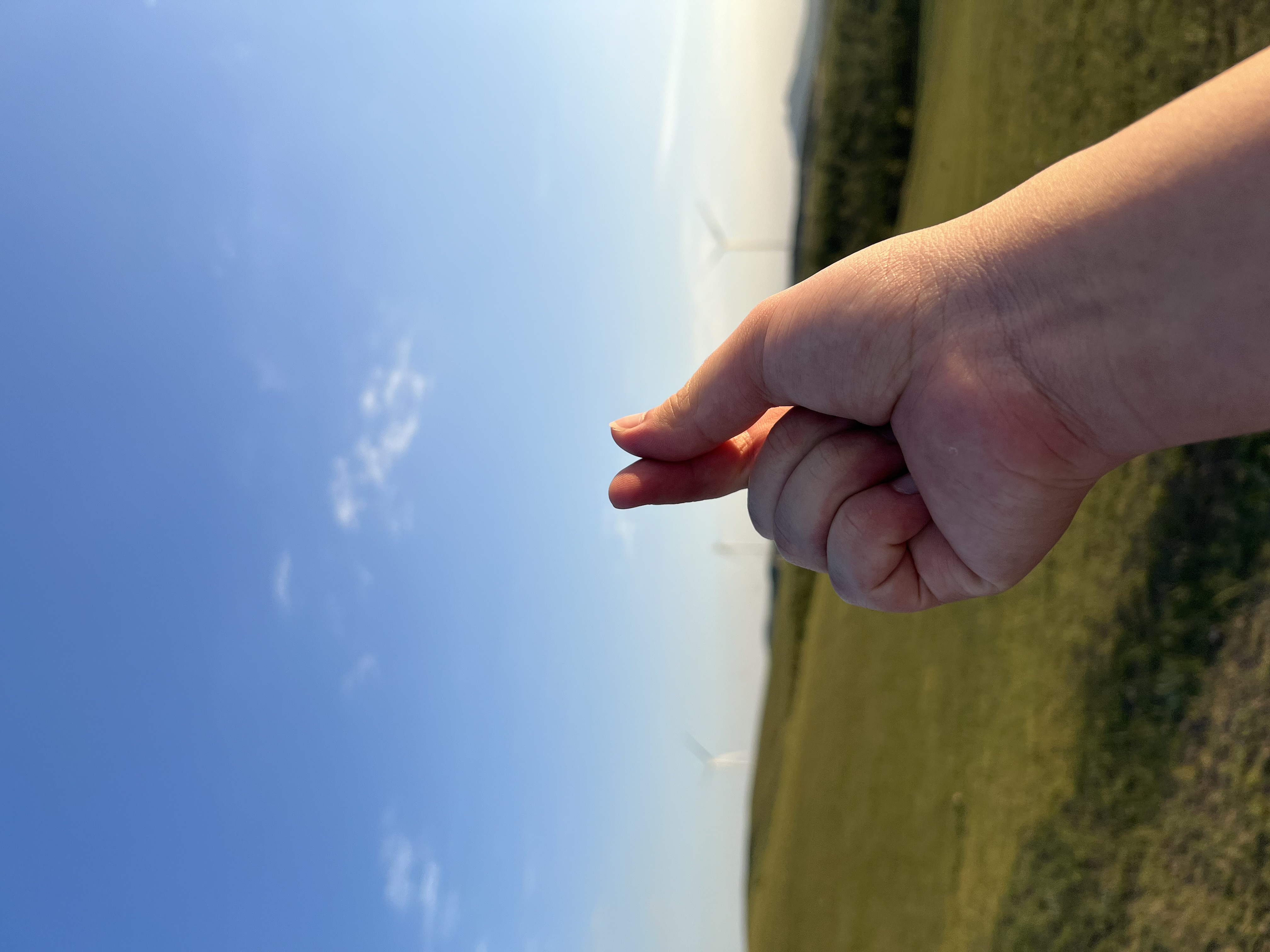 IMG_7808.jpeg